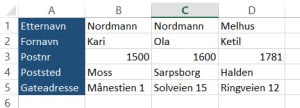 Excel-Sortere-Kolonner