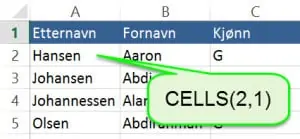 Makro01-Cells