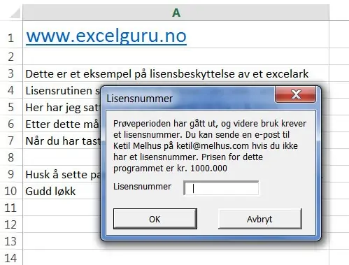 Hvordan gi kunden tilgang til excelboken i en testperiode. Lisensbeskyttelse