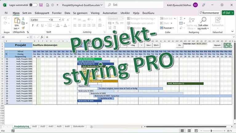 Excel Prosjektstyring Pro, Gantt-diagram